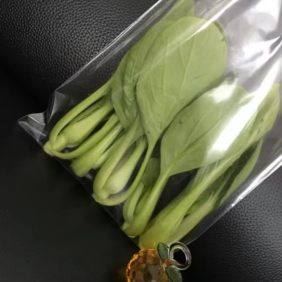 Anti-fog Bag 20